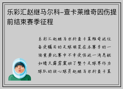 乐彩汇赵继马尔科-查卡莱维奇因伤提前结束赛季征程